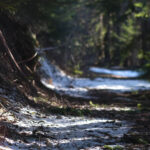 the path to decency